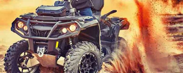 quads